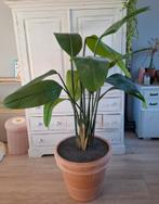 Grote Strelitzia Kunstplant in Pot - Realistisch, Overige soorten, In pot, 150 tot 200 cm, Groene kamerplant