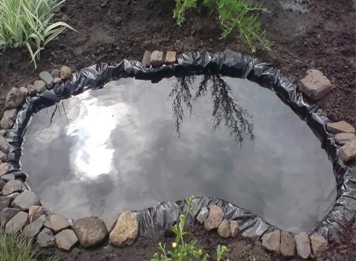 HELP, de waterplanten hebben de vrieskou niet overleefd, Dieren en Toebehoren, Vissen | Aquaria en Toebehoren, Nieuw, Plant(en), Steen of Hout