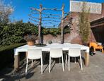 Magis first design stoelen, Ophalen, Overige materialen, Gebruikt, 6 zitplaatsen