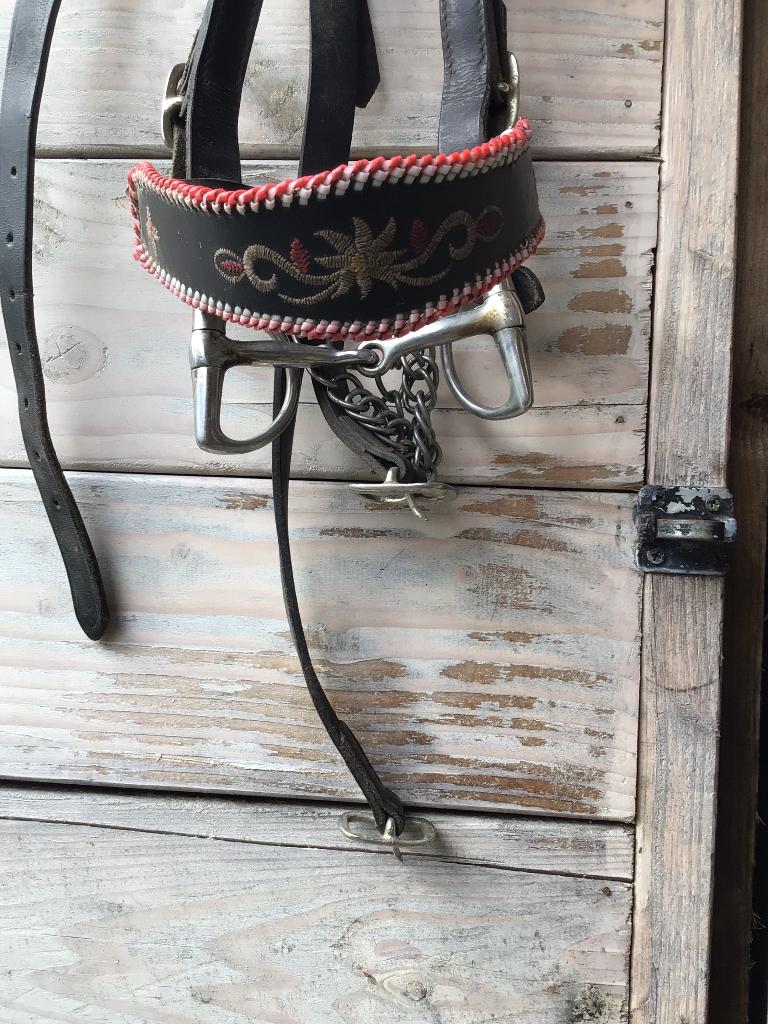 Orgineel Haflinger menhoofdstel, Dieren en Toebehoren, Paarden en Pony's | Hoofdstellen en Tuigage, Ophalen, Zo goed als nieuw