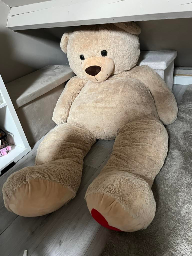 Mega grote beer. Nieuw!!, Ophalen of Verzenden, Nieuw, Stoffen beer, Overige merken