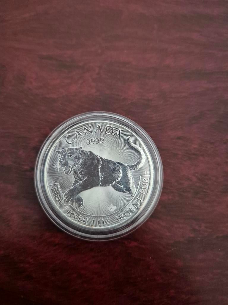 0.999 zilver ounce Canada 2016 Cougar, Postzegels en Munten, Edelmetalen en Baren, Ophalen of Verzenden, Zilver
