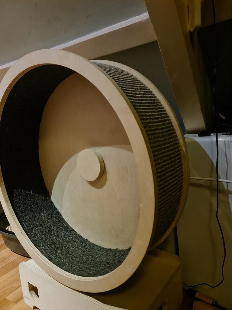 Kattenloopwiel / nooit gebruikt, Ophalen, Zo goed als nieuw, Speelrails