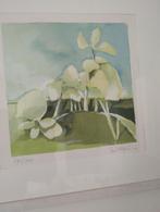 Fon Klement Zeefdruk Gesigneerd & Genummerd, Antiek en Kunst, Ophalen of Verzenden