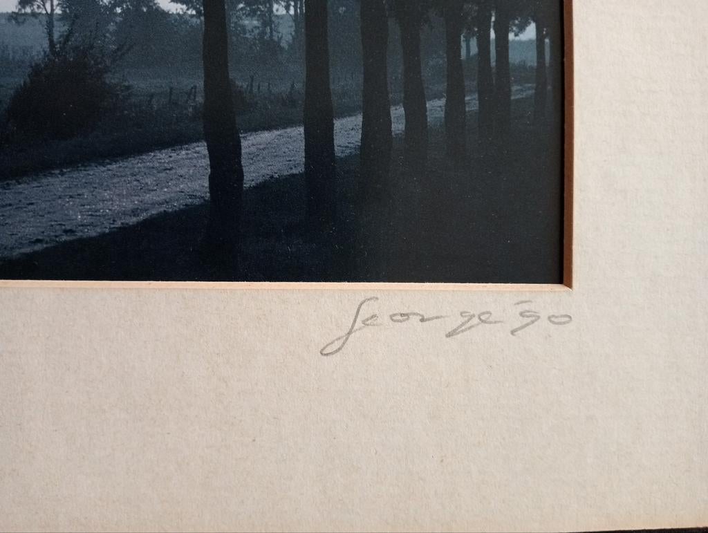 Foto George'90 weg met bomen, Antiek en Kunst, Kunst | Litho's en Zeefdrukken, Ophalen of Verzenden