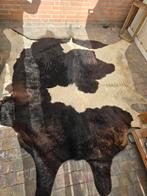 Mooi bont koeienhuid kleed, echte huid, Ophalen, Gebruikt, 150 tot 200 cm, Overige vormen