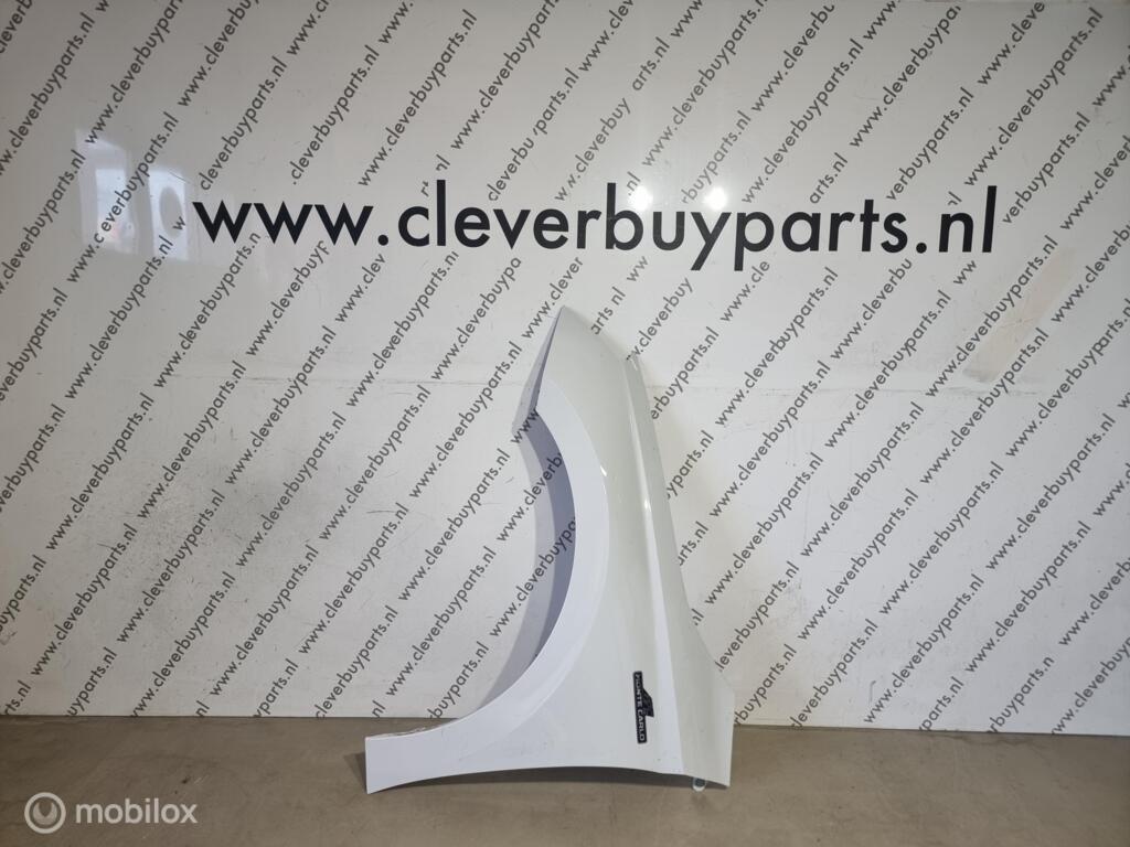 Spatbord links origineel links Skoda Fabia ('18->), Auto-onderdelen, Carrosserie en Plaatwerk, Gebruikt, Ophalen of Verzenden
