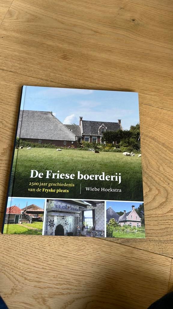 Wiebe Hoekstra - De friese boerderij 2500 jaar geschiedenis, Ophalen of Verzenden, Zo goed als nieuw, Wiebe Hoekstra