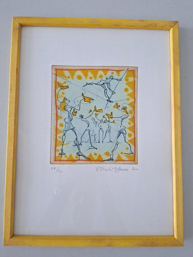 kleurrijke ets, kunstwerk Ronald Tolman ingelijst, Antiek en Kunst, Kunst | Etsen en Gravures, 2000 tot heden, 40 cm, Ets, Ingelijst