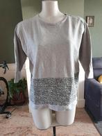 Anna leuke grijze trui mt S 36 truitje, Maat 36 (S), Grijs, Gedragen, Anna