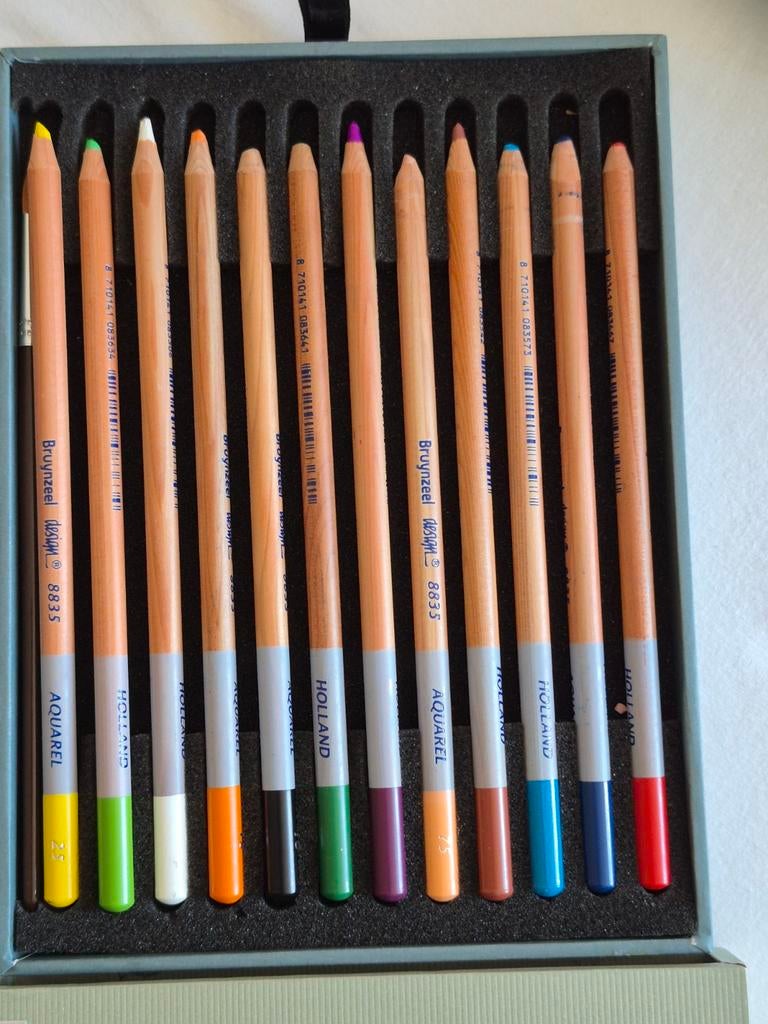 Bruynzeel Design Aquarel Potloden Set - 12 Kleuren, Ophalen of Verzenden, Zo goed als nieuw, Potlood of Stift