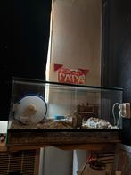 Terrarium 80 40 40, Ophalen, Zo goed als nieuw, Overige typen