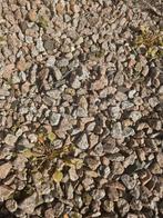 Gratis af te halen: Rood/grijs granietgrind (ca. 20m²), Tuin en Terras, Grind, Keien en Split, Ophalen, Gebruikt, Graniet, Grind