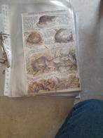 Marjolein Bastin, Ophalen, Album of Boek