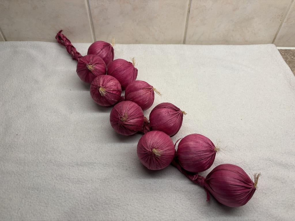 Decoratieve Knoflook Streng(en) (2), Ophalen of Verzenden