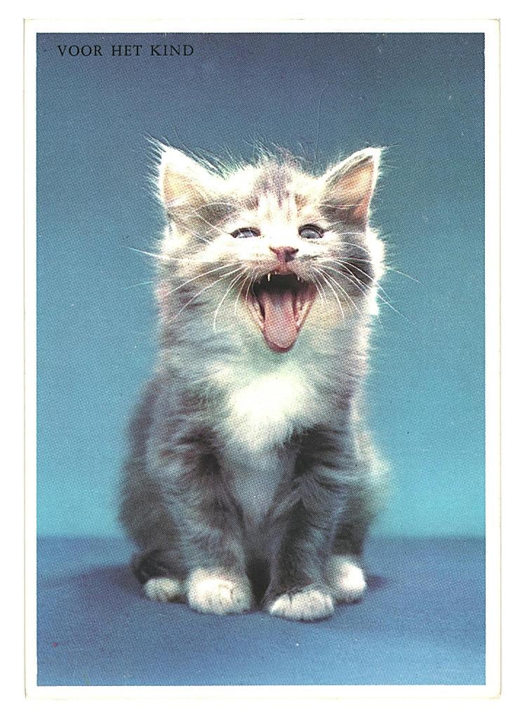 36159 Voor het kind vhk Poes Mooie oude kaart Onbeschreven, Ophalen of Verzenden, 1980 tot heden, Ongelopen, Noord-Brabant