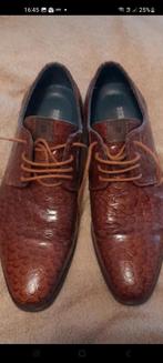 Nette herenschoenen.42, Ophalen of Verzenden, Zo goed als nieuw, Bruin