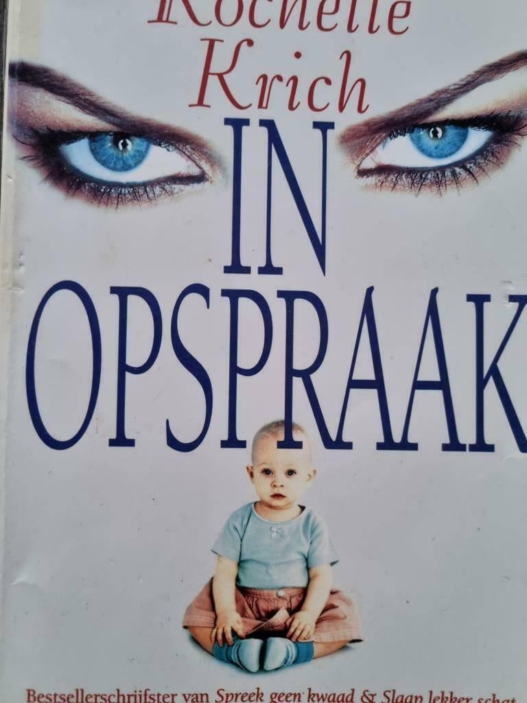 Boek IN OPSPRAAK ( zwanger worden ), Ophalen of Verzenden, Zo goed als nieuw, Rochelle Krich