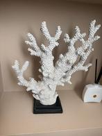 Decoratief Kunststof Koraal op Voetstuk, Ophalen of Verzenden, Zo goed als nieuw