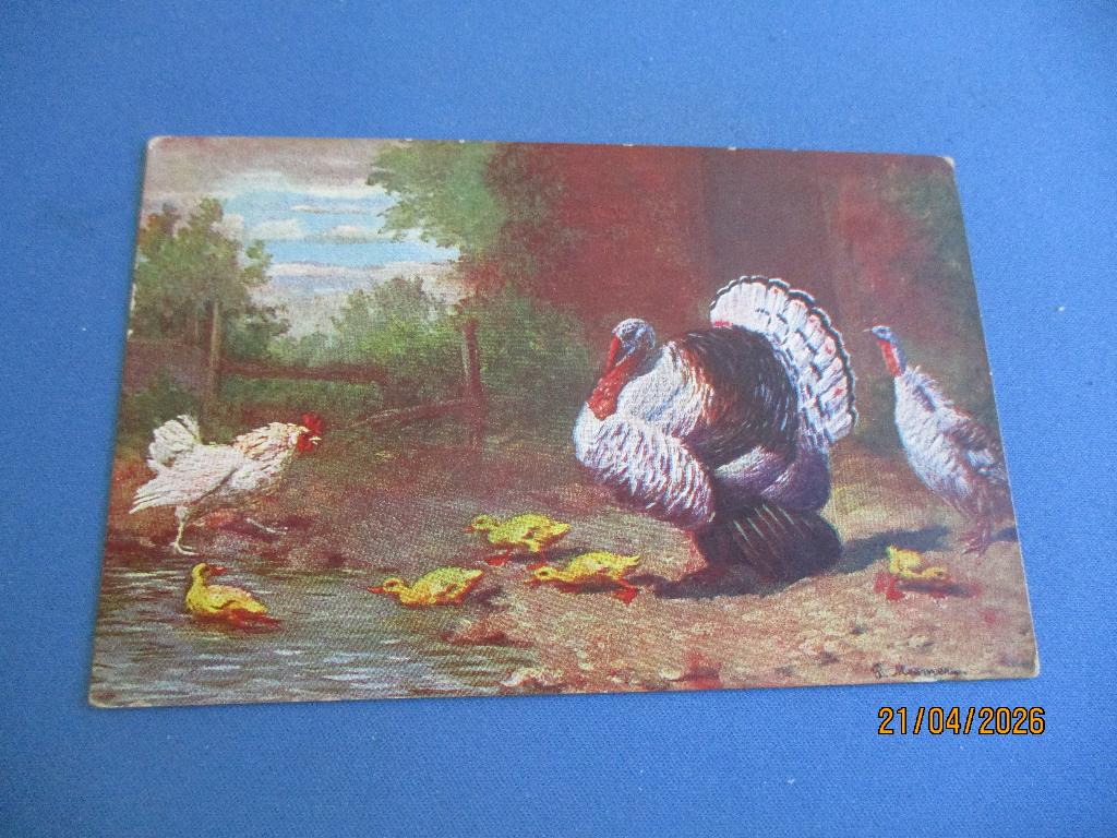 49 dieren, Ophalen of Verzenden, Voor 1920, Gelopen, Natuur