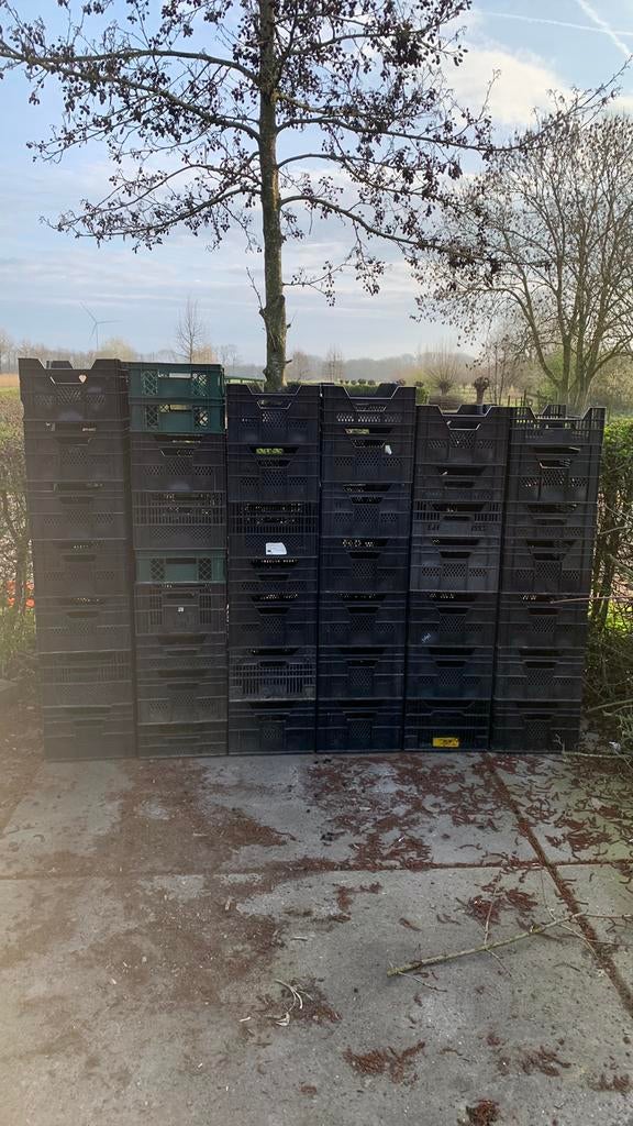 Kratten te koop, veenman 40x60x24, Ophalen, Gebruikt, 40 tot 60 cm, 50 tot 75 cm