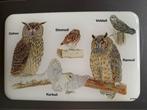 Magneet met 5 uilen - Veld-, Rans-, Steen-, Kerk- en Oehoe, Ophalen of Verzenden, Zo goed als nieuw, Vogel, Overige typen
