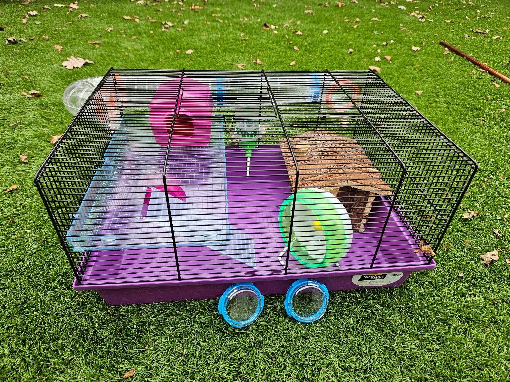 Complete knaagdierenkooi, Kooi, Minder dan 75 cm, Ophalen, Minder dan 60 cm