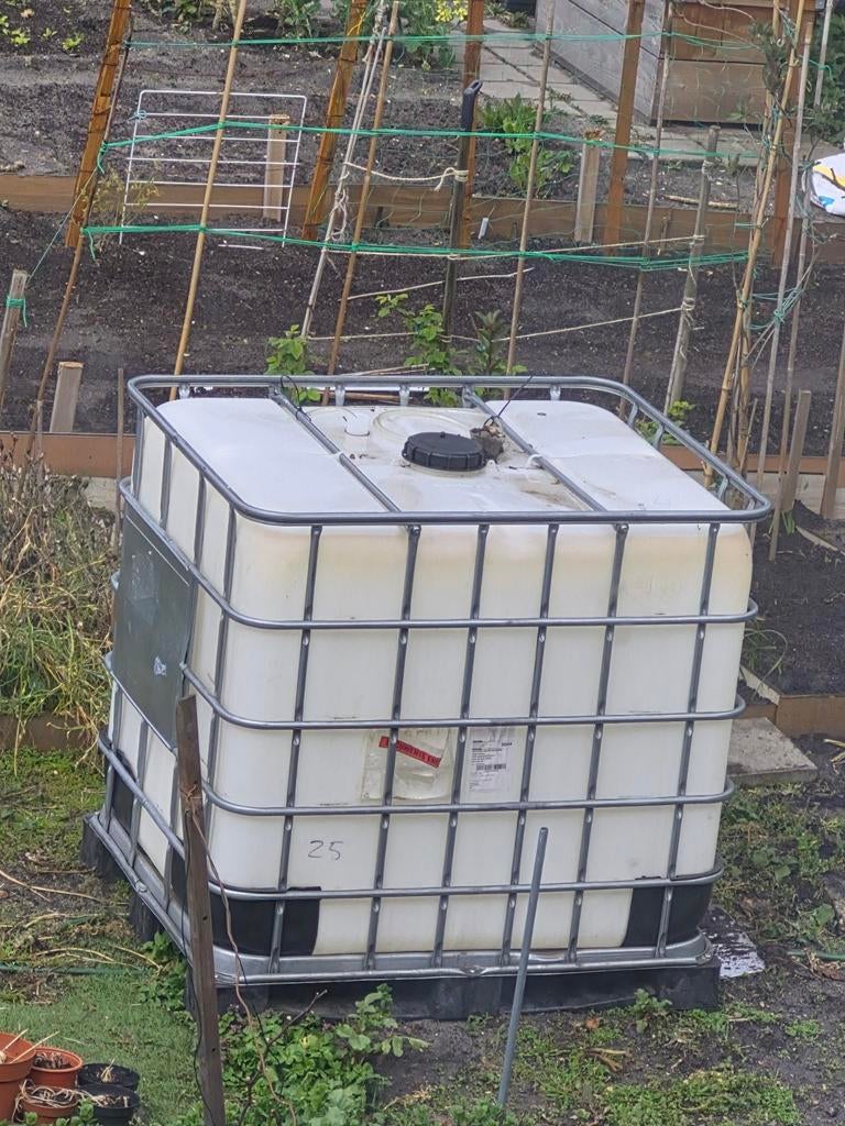 Regenton IBC container, Ophalen of Verzenden