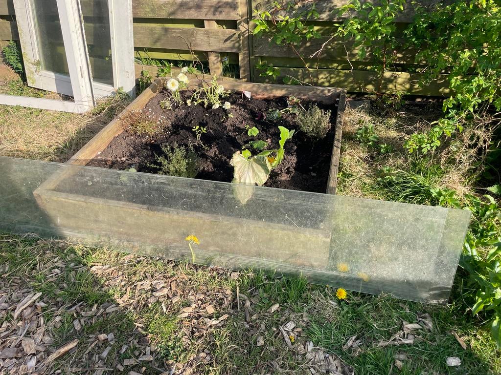 Gratis glasplaat voor kweekbak of afdekking, Gebruikt, 80 tot 120 cm, Ophalen of Verzenden, Glasplaat