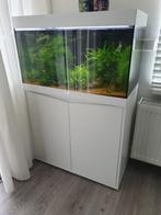 Aquarium met pomp, Ophalen, Inclusief deksel, Zo goed als nieuw, Leeg aquarium