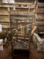 Mooie papegaaienkooi, Ophalen, Metaal, Vogelkooi