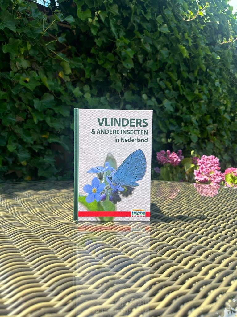 Vlinders & Andere Insecten in Nederland - Natuurgids, Boeken, Ophalen of Verzenden, Nieuw