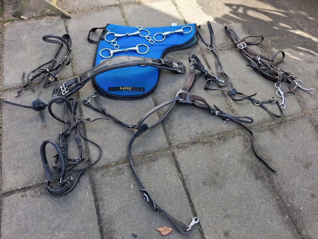 Hoofdstellen, Dieren en Toebehoren, Ophalen, Gebruikt, Western