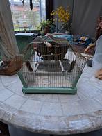 Vogelkooitje retro, Antiek en Kunst, Ophalen of Verzenden