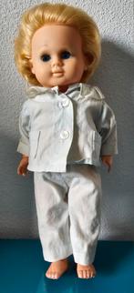 Wildebras pop, jaren 60, Ophalen of Verzenden, Gebruikt, Pop