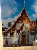 Plexiglas schilderij mooie, Ophalen, 125 cm of meer, Zo goed als nieuw, Schilderij