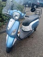 SYM fiddle 3, wit met blauw (snor), Ophalen, Gebruikt, Overige typen