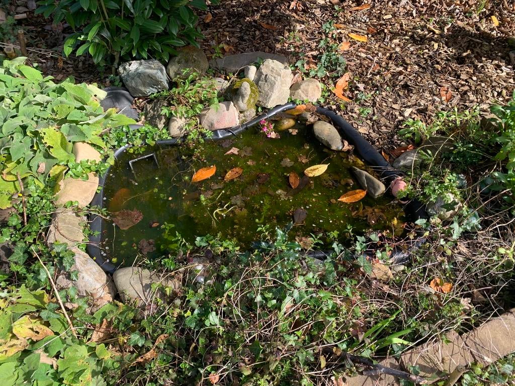 GRATIS Vijver van ca 90 x 120 cm GRATIS, Tuin en Terras, Vijvers, Ophalen, Gebruikt