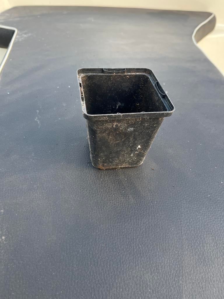 Kweekpot P9 - Eenmalig gebruikt voor diverse planten, Kunststof, Minder dan 30 cm, Minder dan 60 cm, Vierkant