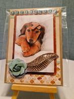 Kaartje beterschap hond (teckel) onder deken, pleister hoofd, Ophalen of Verzenden, Nieuw