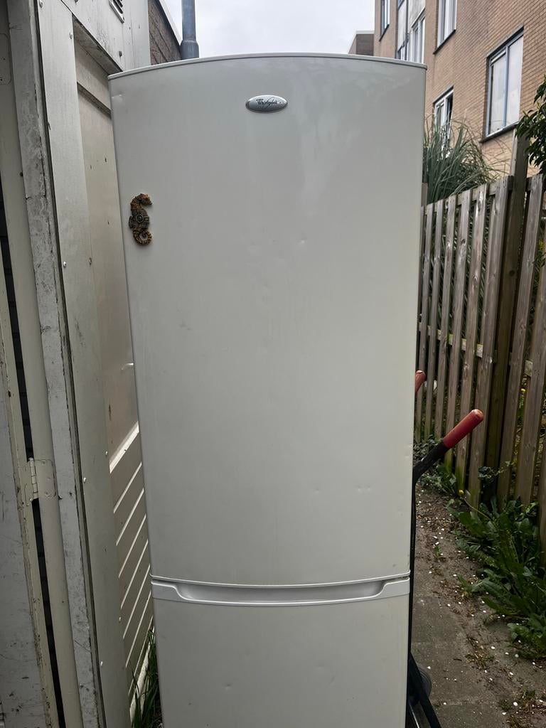 Koelkast whirlpool, Gebruikt, 200 liter of meer, Met aparte vriezer, 160 cm of meer
