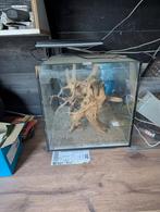 Gratis 2e 30l cube aquarium s, Dieren en Toebehoren, Ophalen, Leeg aquarium
