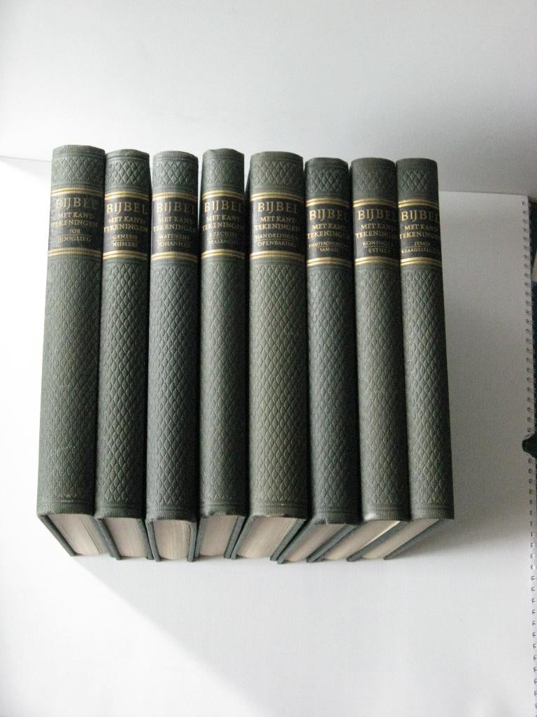 Bijbels met kant/tekeningen totaal 8 bijbels., Ophalen of Verzenden, Bijbel