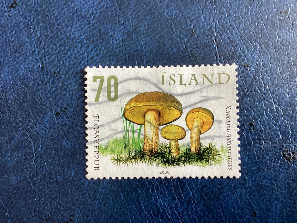 IJsland -2006 - Paddenstoel Flossveppur 70 -Mi.1144, Ophalen of Verzenden, IJsland, Gestempeld