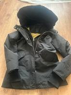 Airforce jas dames zo goed als nieuw, Ophalen of Verzenden, Zo goed als nieuw, Zwart