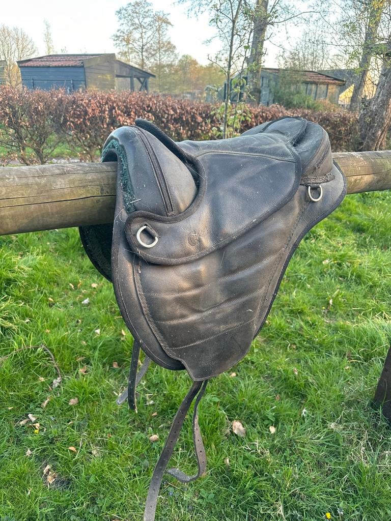 Boomlooszadel, Dieren en Toebehoren, Ophalen, Overige soorten