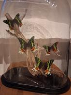 Grote Stolp !!!! Grote !!! vlinders, Huis en Inrichting, Woonaccessoires | Stolpen, Ophalen of Verzenden, Nieuw