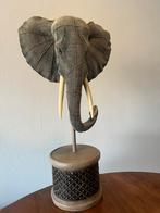 Decoratief olifantenhoofd beeld, Ophalen, Zo goed als nieuw