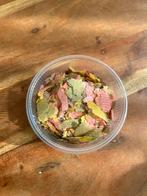 Vlokvoer, voor aquarium vissen, Vis