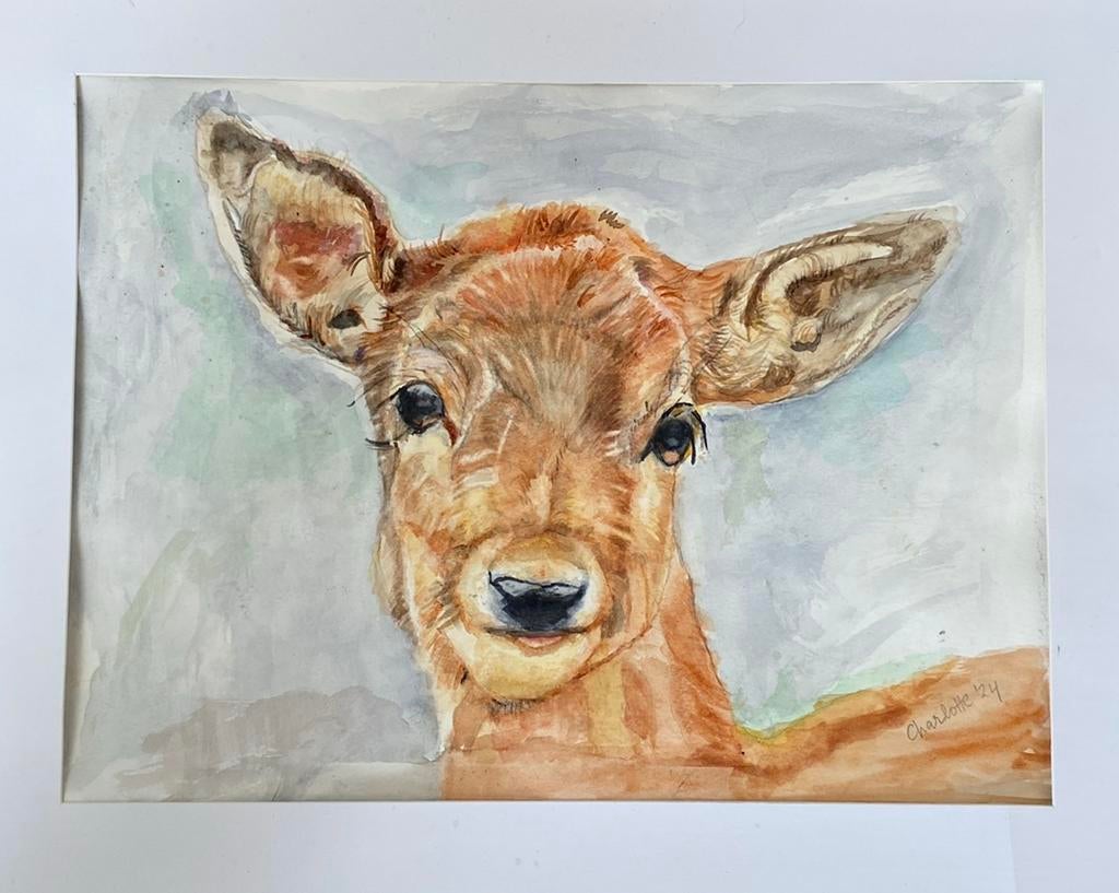 Aquarel van een hert, Antiek en Kunst, Ophalen of Verzenden